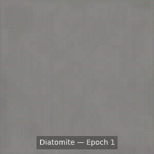 RockGAN-generated diatomite samples evolving throughout training